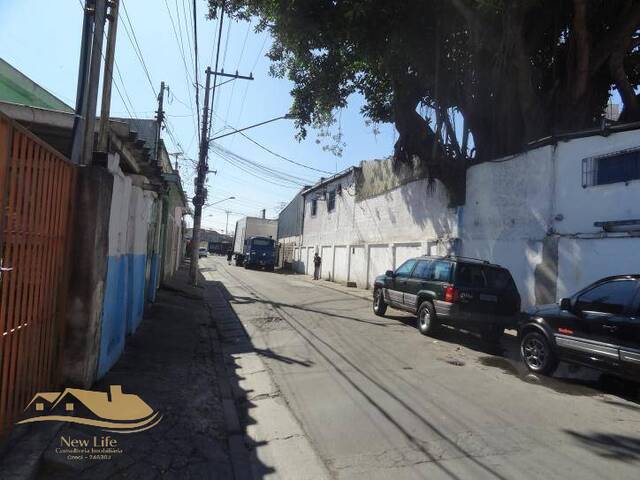 Galpão para Locação em São Paulo - 5