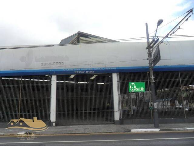 Galpão para Locação em São Paulo - 3