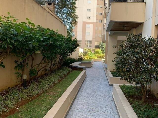 Apartamento para Locação em São Paulo - 2
