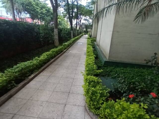 Apartamento para Locação em São Paulo - 5