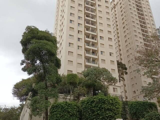 Locação em Parque Mandaqui - São Paulo