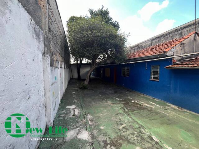 #4101 - Casa para Locação em São Paulo - SP - 2