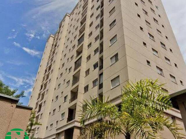 #4206 - Apartamento para Locação em São Paulo - SP - 1