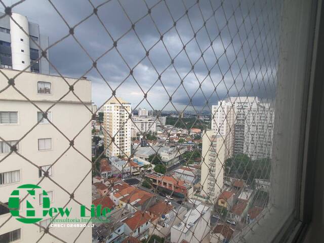 #4299 - Apartamento para Locação em São Paulo - SP - 3