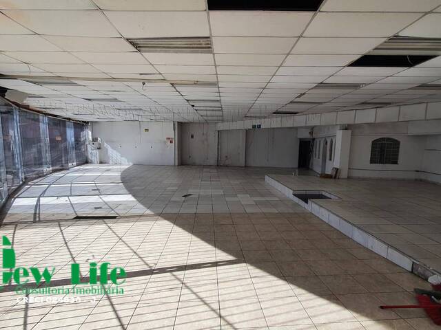 #4467 - Galpão para Locação em São Paulo - SP - 2