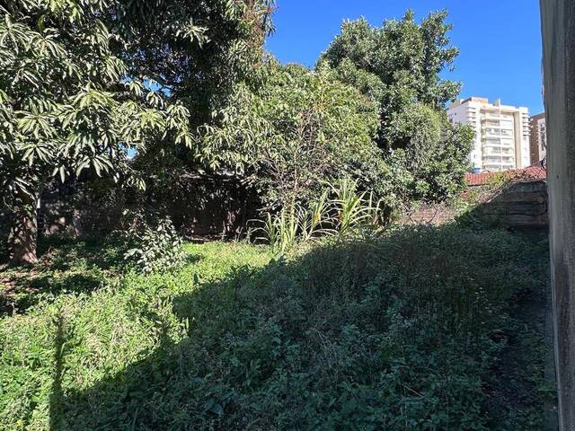 Área para Venda em São Paulo - 4
