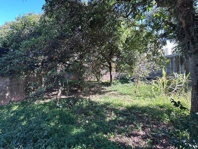 Área para Venda em São Paulo - 5