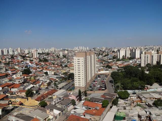 para em - 4