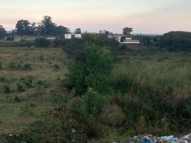 Área para Venda em Guarulhos - 4