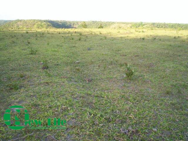 #450 - Fazenda para Venda em Porto Seguro - BA - 2