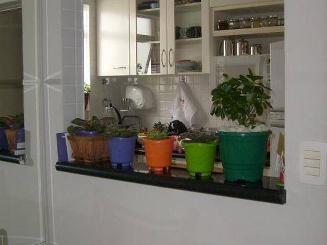 Apartamento para Venda em São Paulo - 4